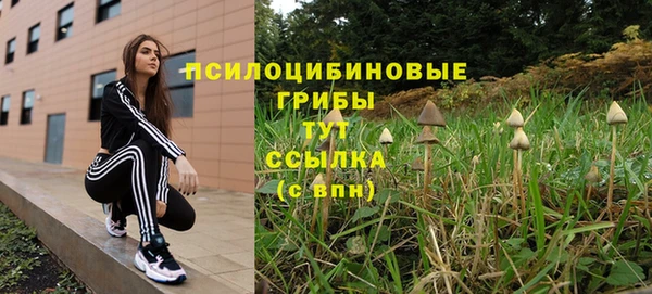 ГАЛЛЮЦИНОГЕННЫЕ ГРИБЫ Кодинск
