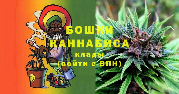 ГАЛЛЮЦИНОГЕННЫЕ ГРИБЫ Кодинск