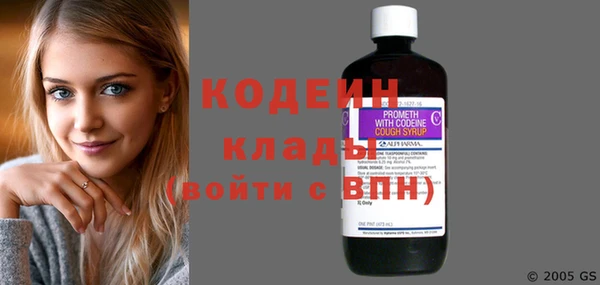 ГАЛЛЮЦИНОГЕННЫЕ ГРИБЫ Кодинск