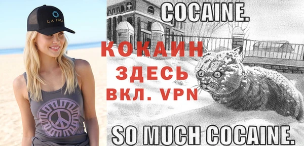 2c-b Козельск