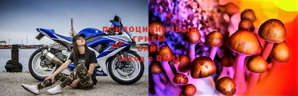 apvp Козловка